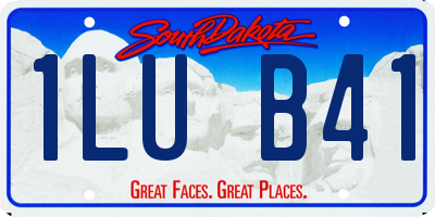 SD license plate 1LUB41