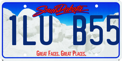 SD license plate 1LUB55