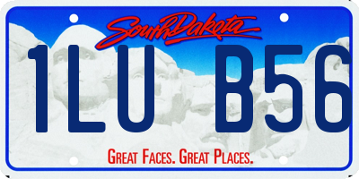 SD license plate 1LUB56