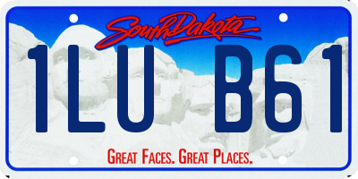 SD license plate 1LUB61