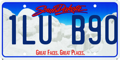 SD license plate 1LUB90