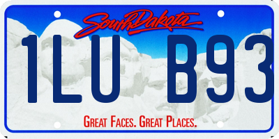 SD license plate 1LUB93