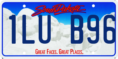 SD license plate 1LUB96
