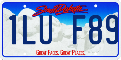 SD license plate 1LUF89