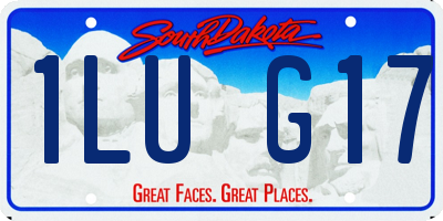 SD license plate 1LUG17