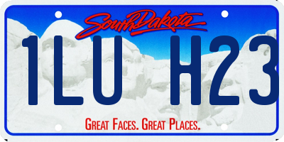 SD license plate 1LUH23