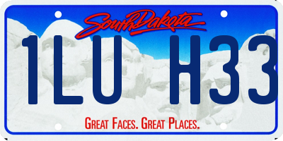SD license plate 1LUH33
