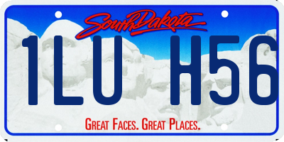 SD license plate 1LUH56
