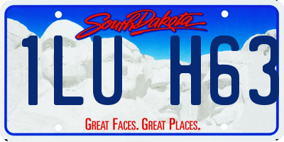 SD license plate 1LUH63