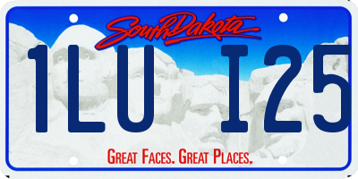 SD license plate 1LUI25