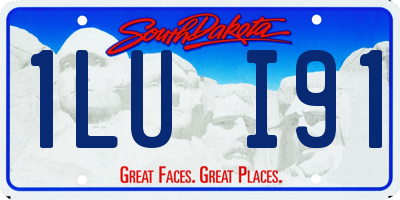 SD license plate 1LUI91