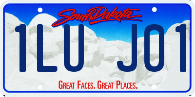 SD license plate 1LUJ01