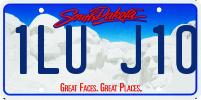 SD license plate 1LUJ10