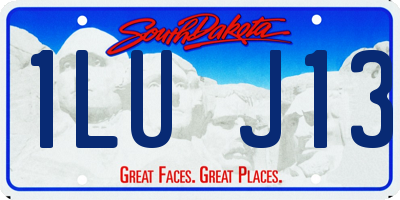 SD license plate 1LUJ13