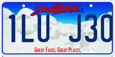 SD license plate 1LUJ30
