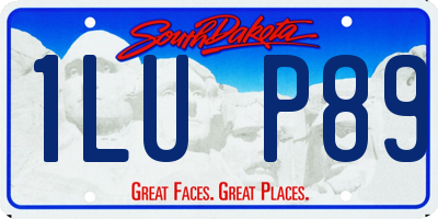 SD license plate 1LUP89