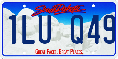SD license plate 1LUQ49