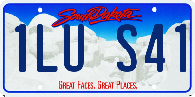 SD license plate 1LUS41