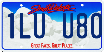 SD license plate 1LUU80