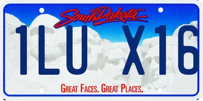 SD license plate 1LUX16