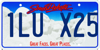 SD license plate 1LUX25