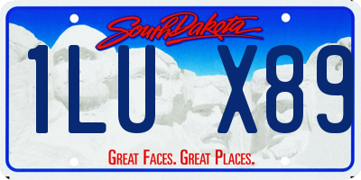 SD license plate 1LUX89