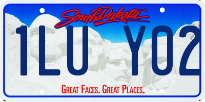 SD license plate 1LUY02