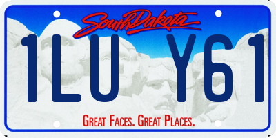 SD license plate 1LUY61
