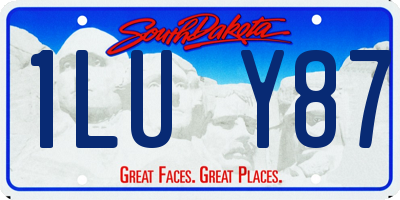 SD license plate 1LUY87