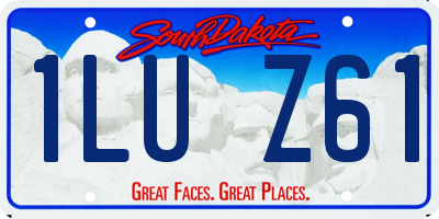 SD license plate 1LUZ61