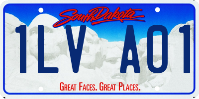 SD license plate 1LVA01