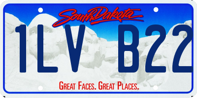 SD license plate 1LVB22