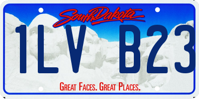 SD license plate 1LVB23