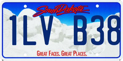 SD license plate 1LVB38