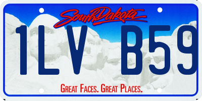SD license plate 1LVB59