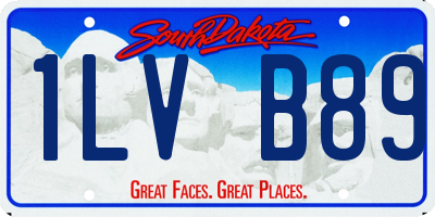 SD license plate 1LVB89