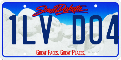 SD license plate 1LVD04