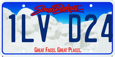 SD license plate 1LVD24