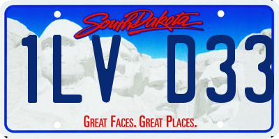 SD license plate 1LVD33