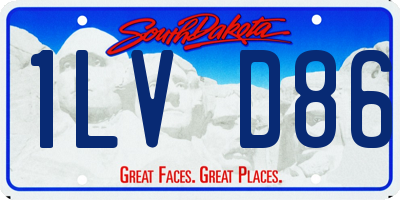 SD license plate 1LVD86