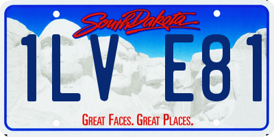 SD license plate 1LVE81