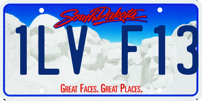 SD license plate 1LVF13