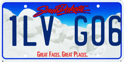 SD license plate 1LVG06