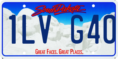 SD license plate 1LVG40