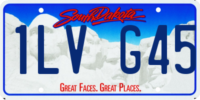 SD license plate 1LVG45