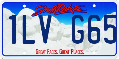 SD license plate 1LVG65
