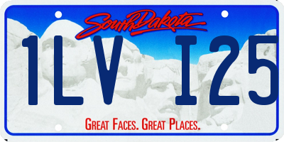 SD license plate 1LVI25