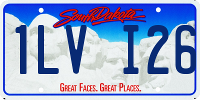 SD license plate 1LVI26