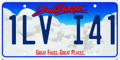 SD license plate 1LVI41