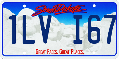 SD license plate 1LVI67